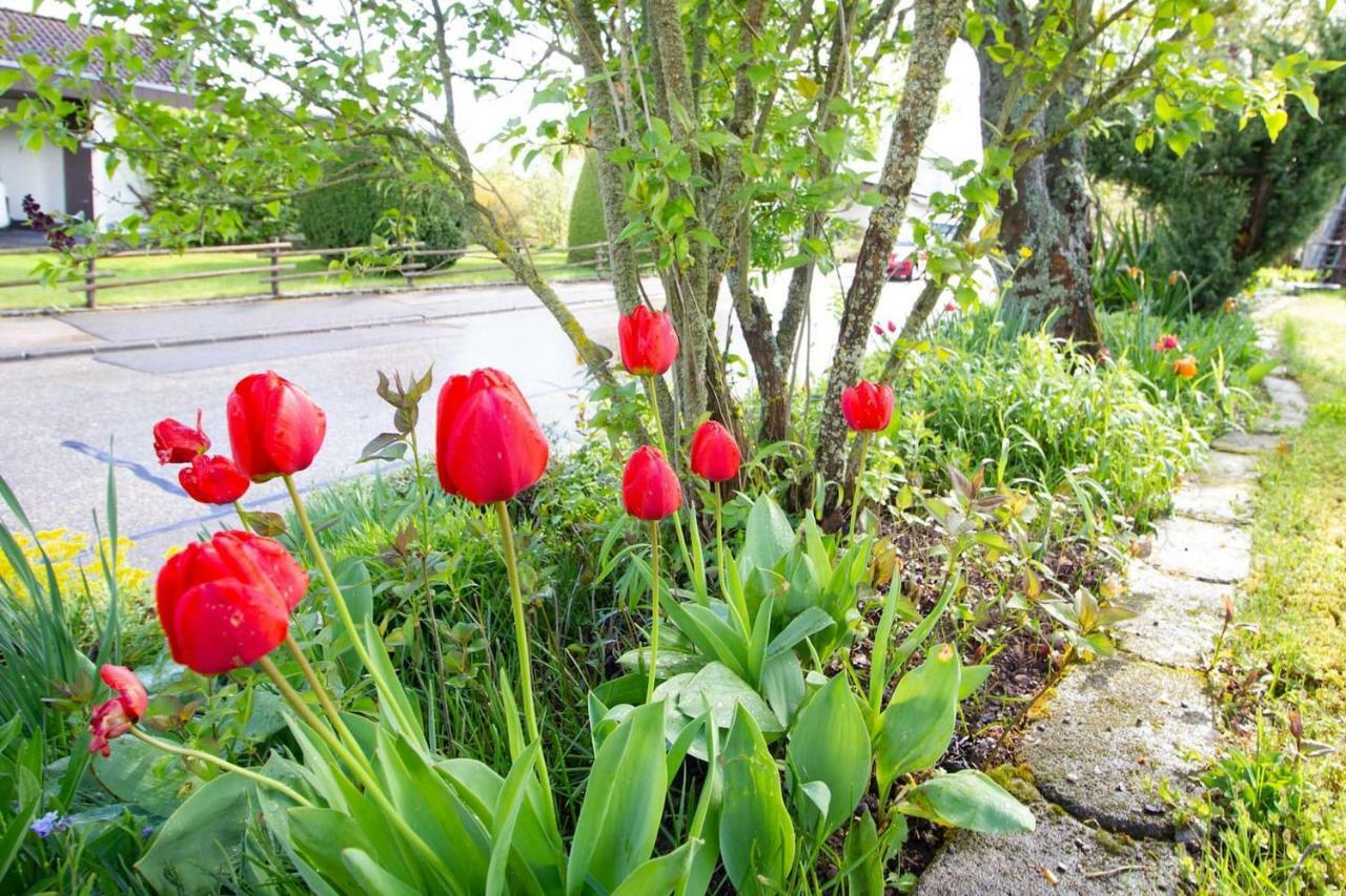 Apartment Schoene Und Helle In Pfaffenweiler *